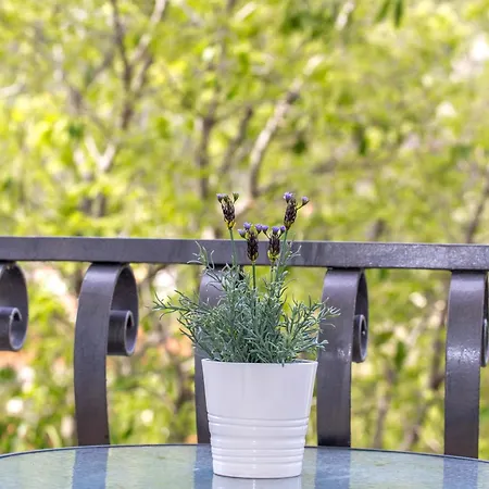 Mamma Mia 2 아파트 *